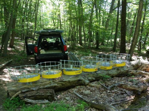 Course Install - Planting Baskets